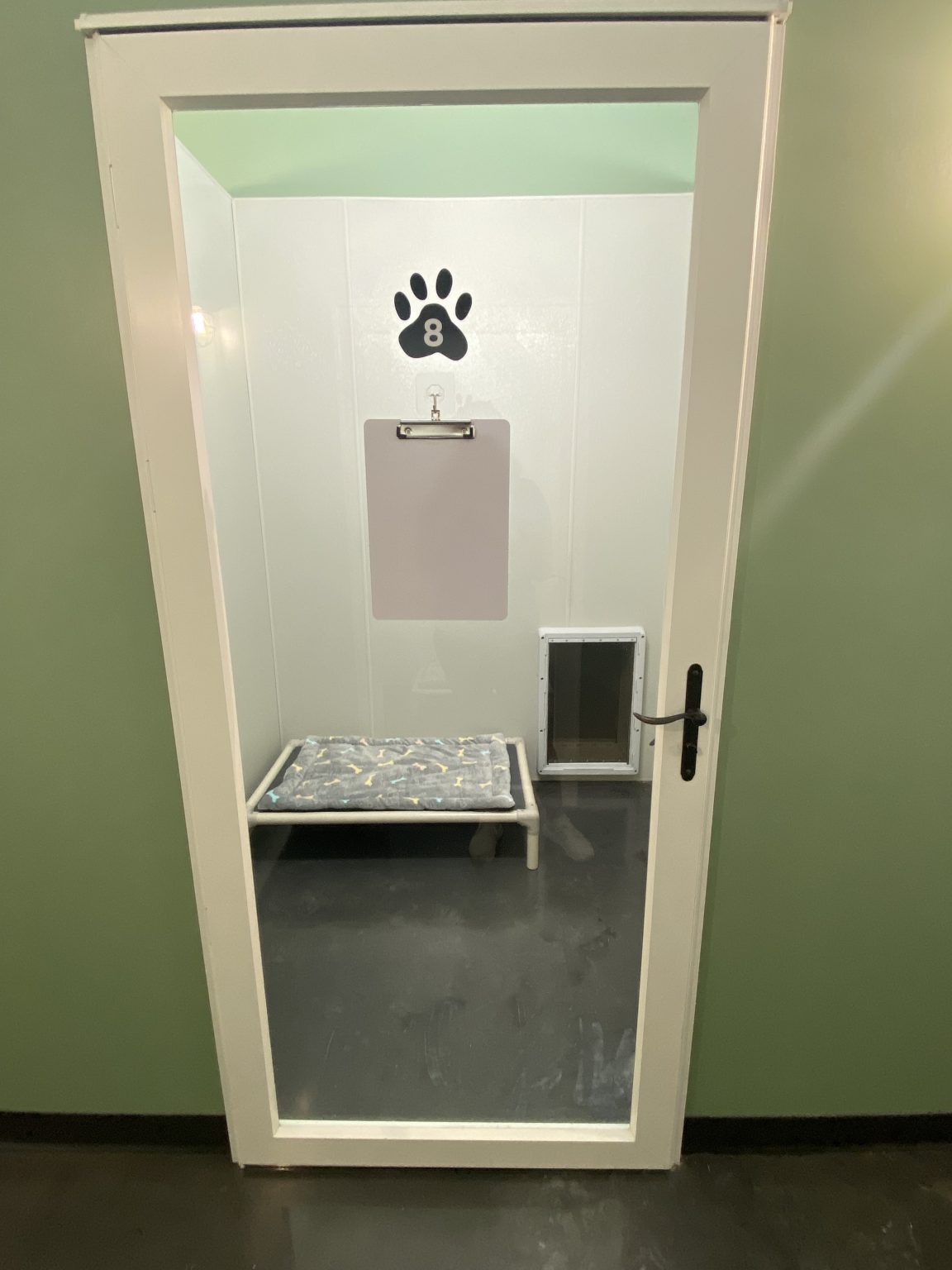 Dog Boarding The Barkmore Bowling Green