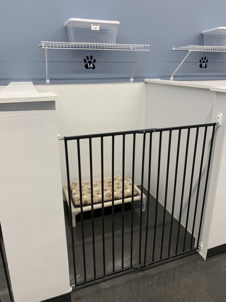 Dog Boarding The Barkmore Bowling Green