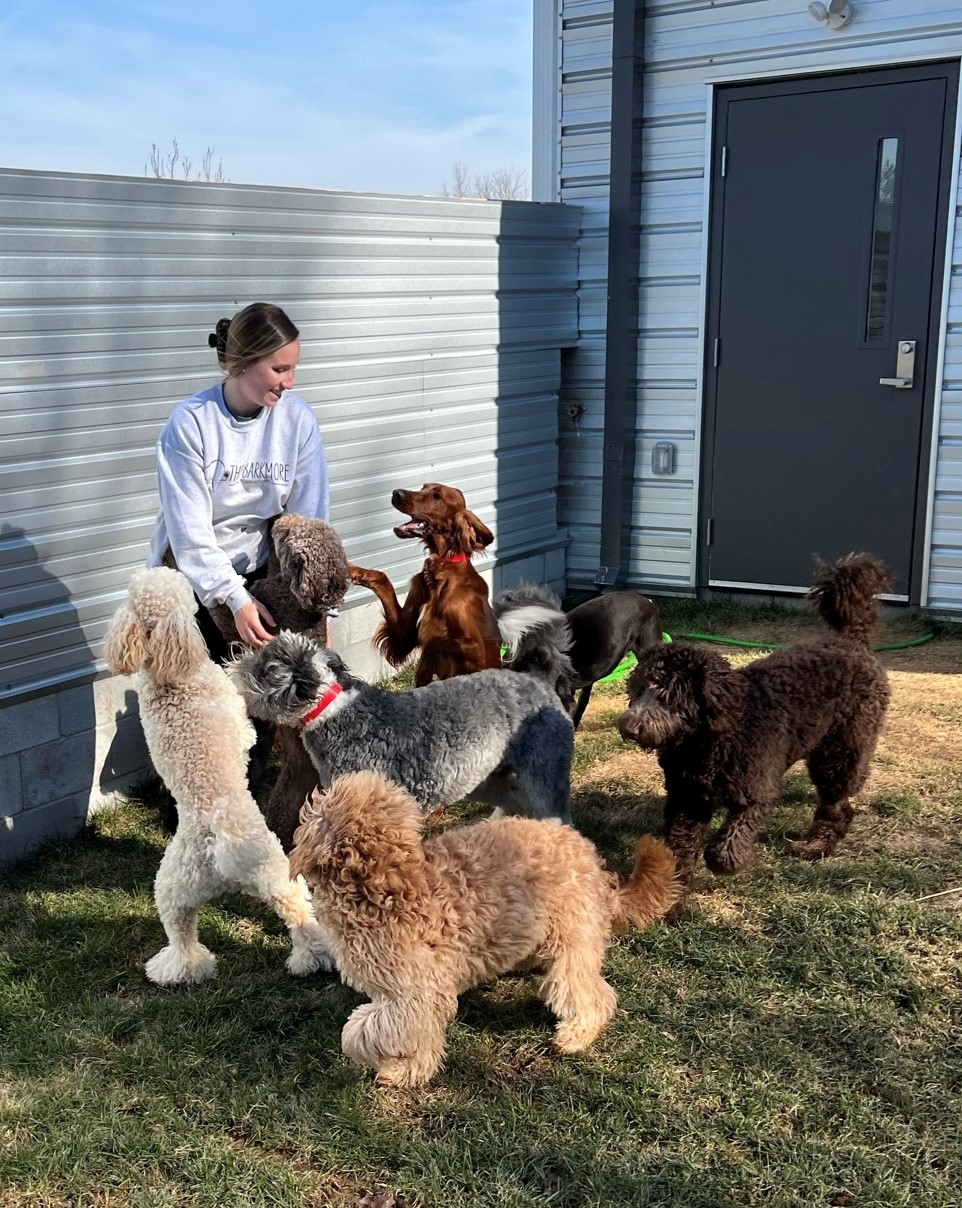 DayCare The Barkmore Bowling Green